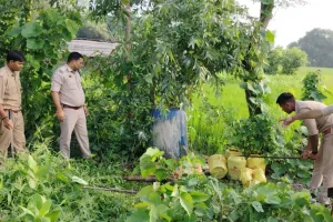 आइना झूठ नहीं बोलता : आबकारी विभाग की छापेमारी ने खोली सिकन्दरपुर थाना पुलिस की पोल, देखें Video और Photos